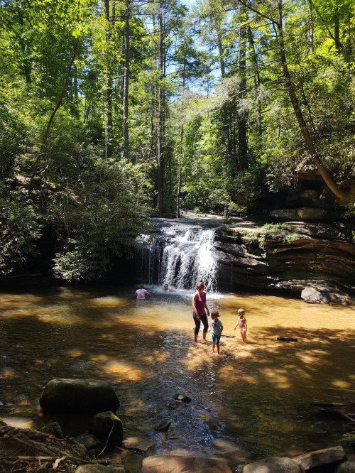 A serene waterfall surrounded by lush greenery, with people wading in the shallow water below.