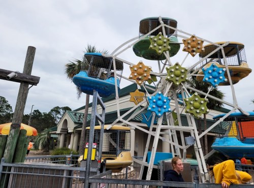 A colorful ferris wheel with enclosed seats at an amusement park, with palm trees and a building in the background.
