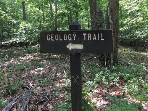 A wooden signpost in a forest pointing left, labeled "Geology Trail." Surrounding area is lush with greenery.