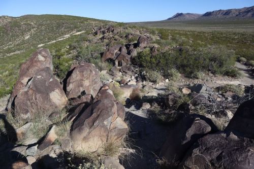 Rocky terrain with scattered boulders and sparse vegetation under a clear blue sky, set against distant mountains.
