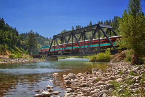 A colorful train crosses a black metal bridge over a river, surrounded by lush green trees and a clear blue sky.