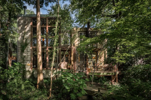 A modern house nestled among tall trees, featuring large windows and a blend of natural materials.