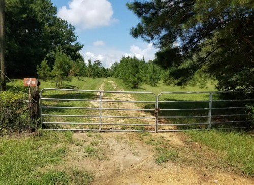 A metal gate at the end of a dirt path, surrounded by green grass and trees under a blue sky with clouds.