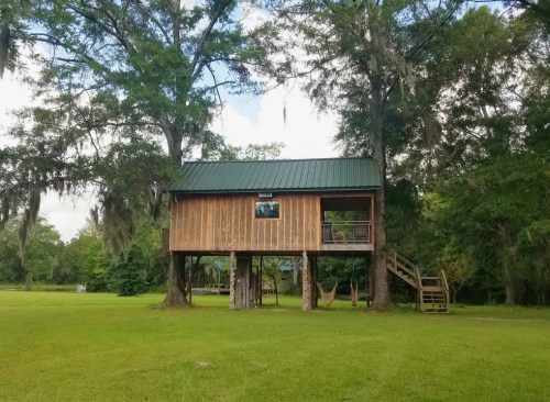 A wooden treehouse on stilts surrounded by trees and grass, featuring a green metal roof and a small porch.