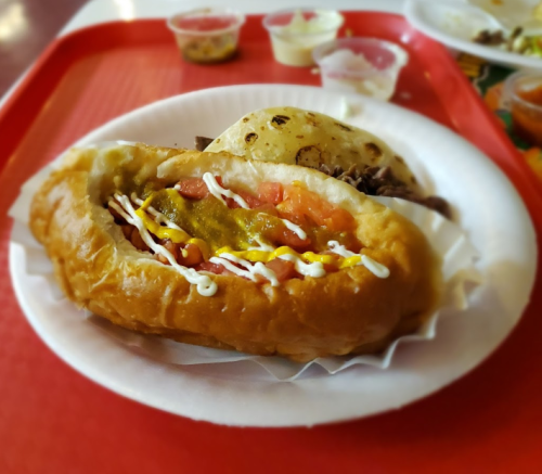 A close-up of a hot dog topped with mustard, tomatoes, and sauce, served on a paper plate with a tortilla.