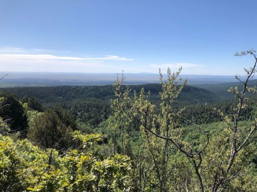 A panoramic view of lush green mountains and valleys under a clear blue sky.