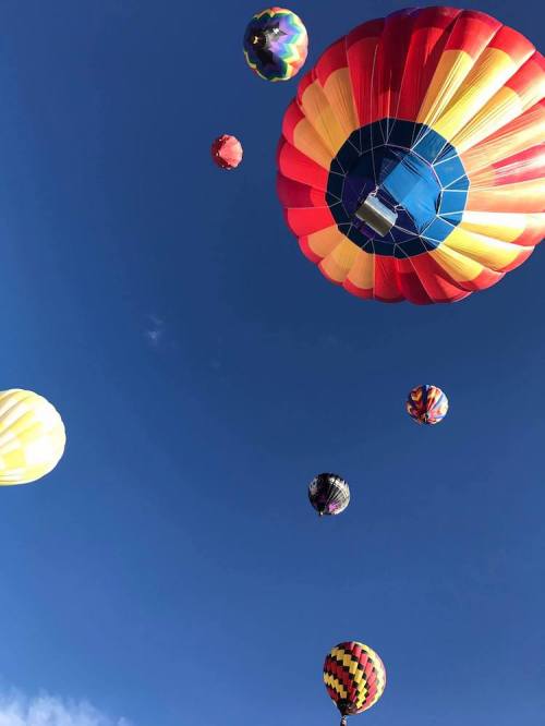 Colorful hot air balloons floating against a clear blue sky.