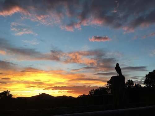 A silhouette of a bird perched on a post against a vibrant sunset with colorful clouds and distant mountains.