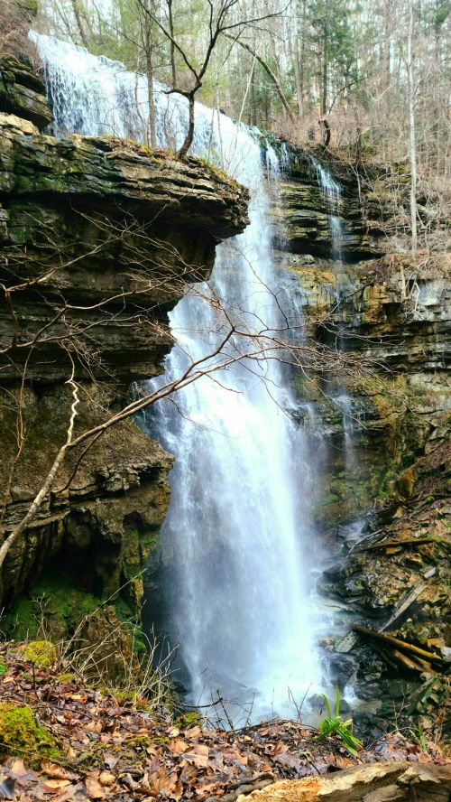 A cascading waterfall flows over rocky cliffs, surrounded by trees and fallen leaves in a serene natural setting.