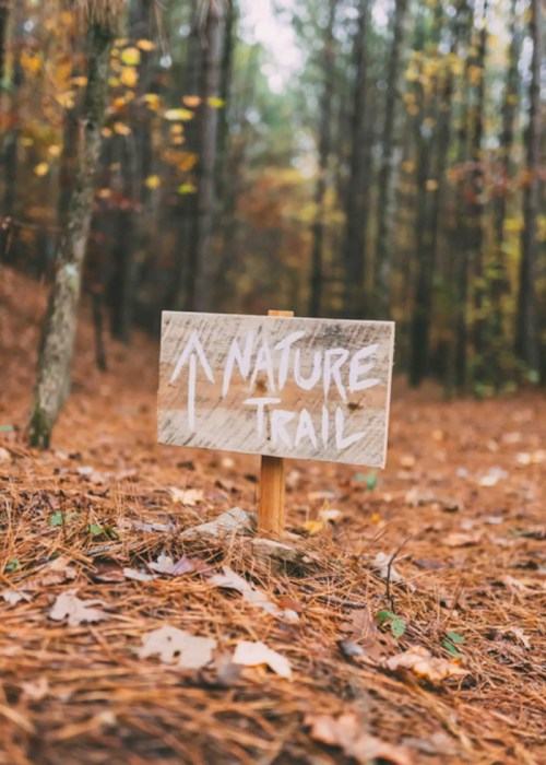 A wooden sign pointing up a path, labeled "Nature Trail," surrounded by autumn leaves and trees.