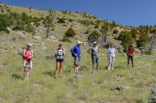A group of six hikers stands on a grassy hillside, surrounded by trees and rocky terrain under a clear blue sky.