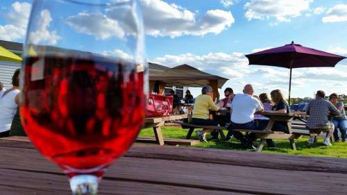 A glass of red drink in the foreground, with people socializing at picnic tables under a blue sky with clouds.