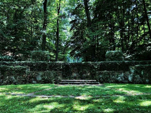 A serene forest scene featuring a stone wall covered in greenery, surrounded by lush trees and a grassy area.