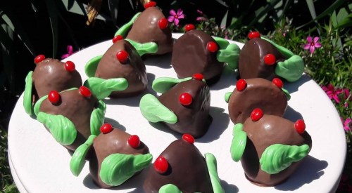 A group of chocolate-covered treats shaped like small mountains, decorated with green icing and red candy dots.