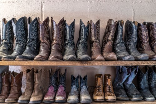A row of various styles of cowboy boots on a wooden shelf, showcasing different colors and designs.