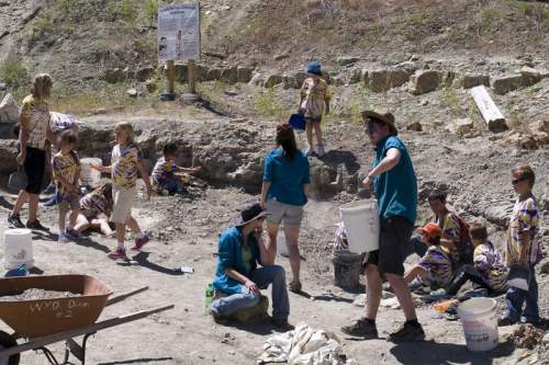 A group of children and adults excavate a site, digging and sorting materials in a sunny outdoor setting.