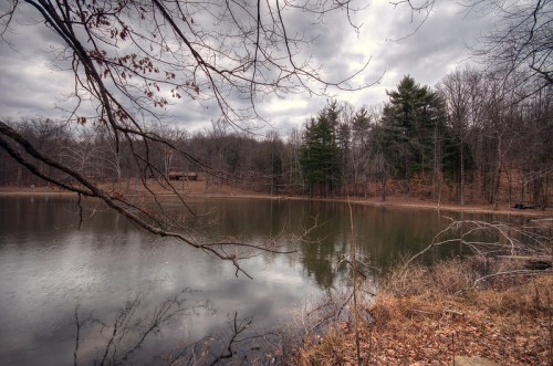 A tranquil lake surrounded by bare trees and evergreens, under a cloudy sky in a serene, wooded landscape.