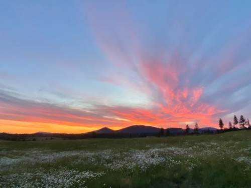 A vibrant sunset with pink and orange clouds over a green field dotted with white flowers and distant mountains.