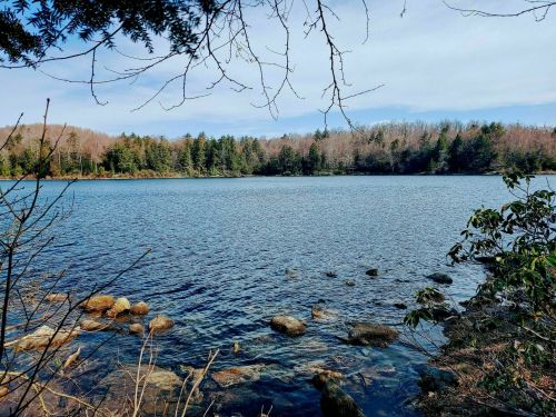 A serene lake surrounded by trees, with rocky shores and a clear blue sky above.