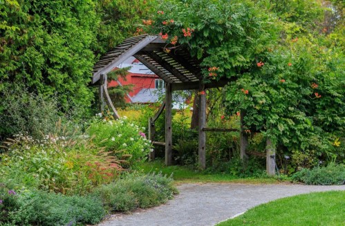 A wooden arbor covered in greenery and flowers, leading to a garden path surrounded by lush plants.
