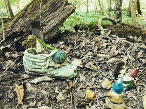 A whimsical scene featuring a shoe planter with plants, surrounded by gnome figurines and forest debris.