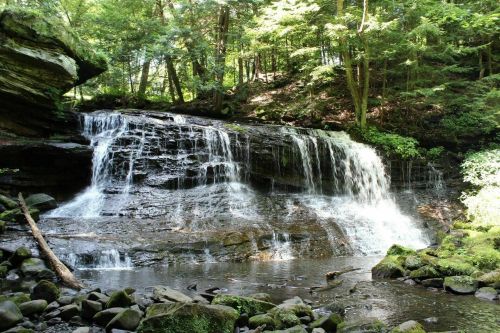 A serene waterfall cascading over rocks, surrounded by lush green trees and a calm pool of water below.