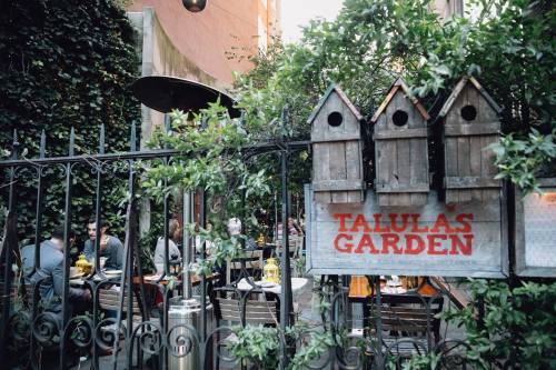 A cozy outdoor dining area with greenery, featuring a sign that reads "Talula's Garden" and decorative birdhouses.