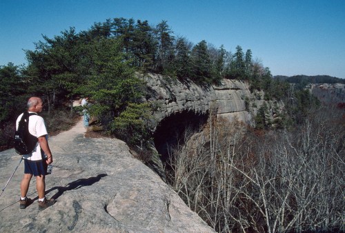 A hiker stands on a rocky ledge, overlooking a scenic landscape with trees and cliffs under a clear blue sky.