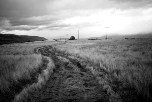A winding dirt path through tall grass, with power lines and a cloudy sky in the background. Black and white image.