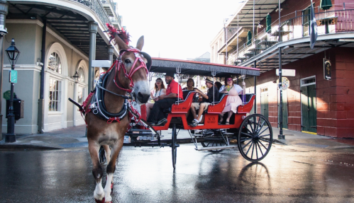 A horse-drawn carriage with passengers rides through a historic street, surrounded by charming architecture.
