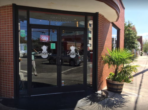 Entrance of a restaurant with glass doors, a "Open" sign, and a potted palm outside on a sunny day.