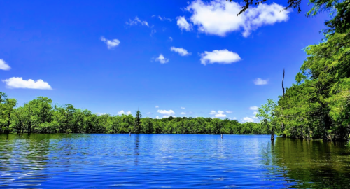 A serene lake surrounded by lush greenery under a bright blue sky with fluffy white clouds.