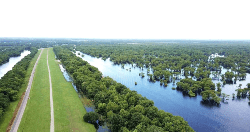 Aerial view of a lush green landscape with a river and trees, showcasing a serene natural environment.