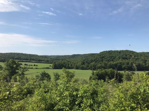 Lush green hills and fields under a clear blue sky, with trees in the foreground and distant mountains.