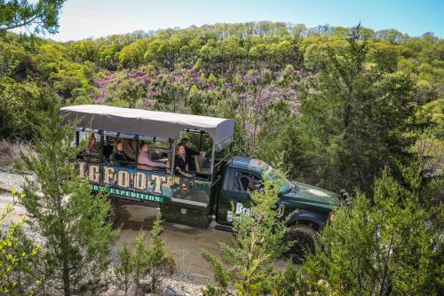 A tour vehicle drives through a lush, green landscape with passengers enjoying the scenic view.