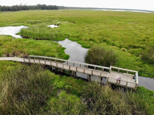Aerial view of a wooden boardwalk winding through a lush green marsh with water channels and tall grasses.