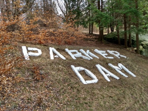 White letters spelling "PARKER DAM" on a grassy hillside surrounded by trees and dry foliage.