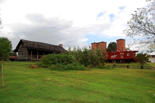A rustic wooden house beside a red train car, surrounded by tall corn plants and green grass under a cloudy sky.