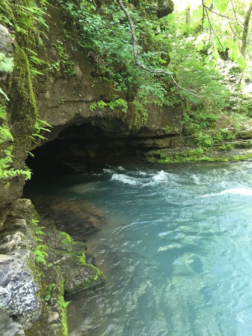 A serene river flows past moss-covered rocks and a cave entrance, surrounded by lush greenery.