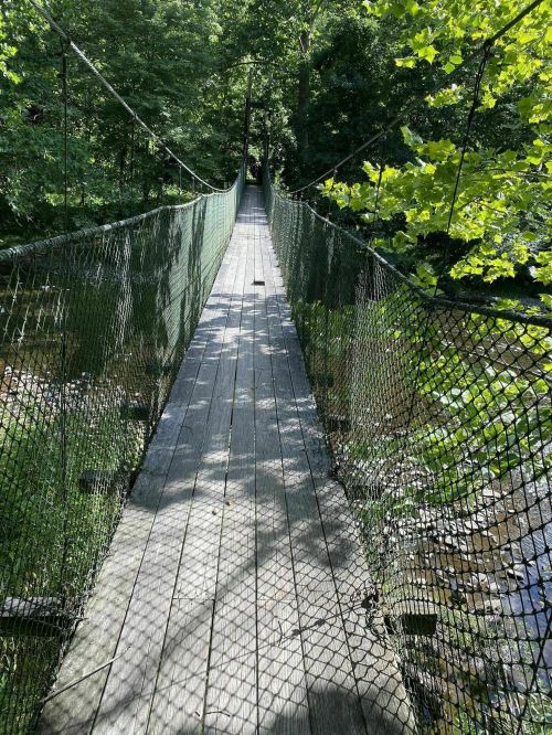 A wooden suspension bridge surrounded by lush greenery, spanning over a small stream. Sunlight filters through the leaves.