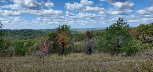 A scenic view of rolling hills and trees under a blue sky with fluffy clouds, showcasing autumn colors.