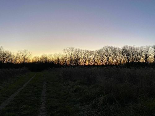 A serene landscape at dusk, featuring a dirt path and silhouetted trees against a colorful sunset sky.