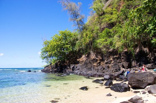 A serene beach scene with clear water, rocky shore, and lush greenery under a bright blue sky.