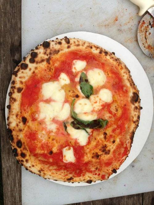 A freshly baked pizza with a golden crust, topped with tomato sauce, mozzarella cheese, and fresh basil leaves.