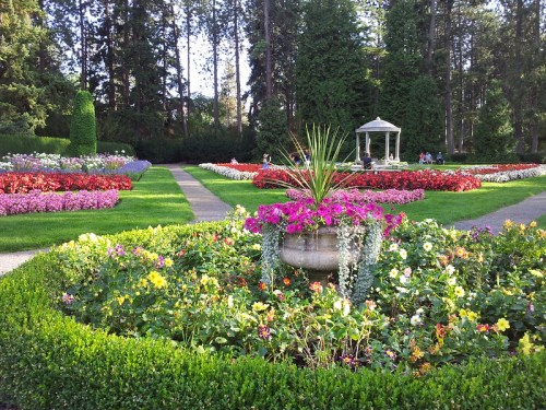 A vibrant garden with colorful flower beds, a central planter, and a gazebo surrounded by lush greenery.