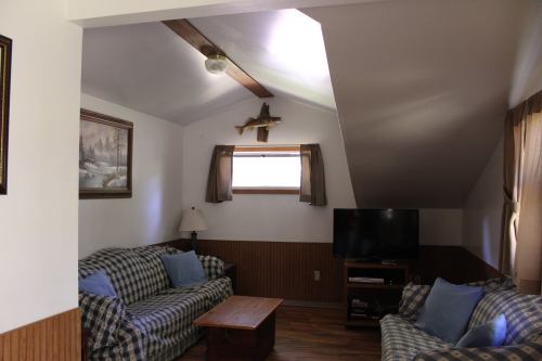 Cozy living room with sloped ceiling, two checkered sofas, a wooden coffee table, and a TV against the wall.