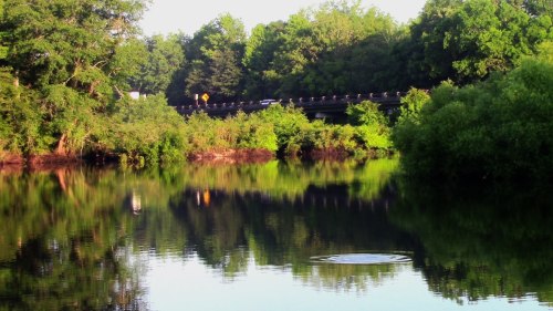 A serene river scene with lush greenery and a bridge reflected in the calm water, with a ripple in the foreground.