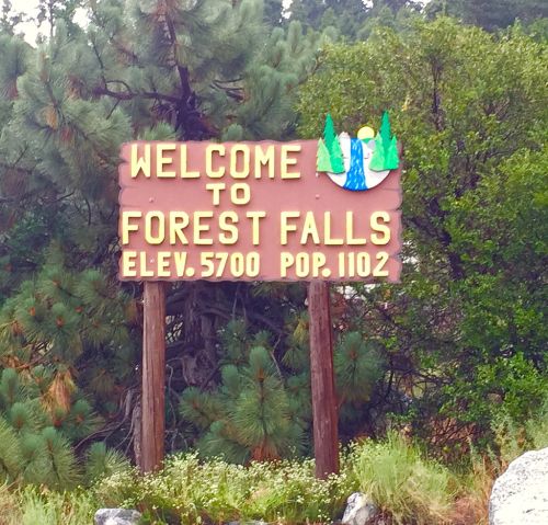 Welcome sign for Forest Falls, featuring elevation 5700 and population 1102, surrounded by trees.