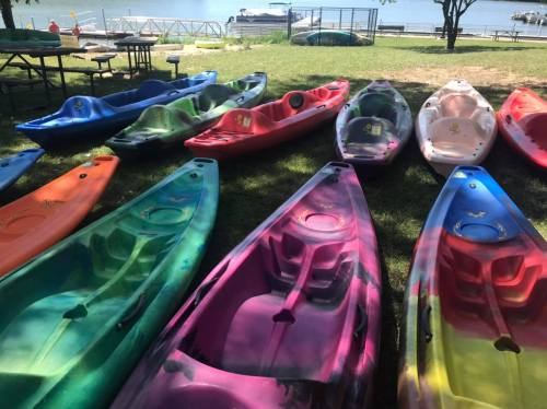 Colorful kayaks lined up on grass near a waterfront, with a few boats visible in the background.