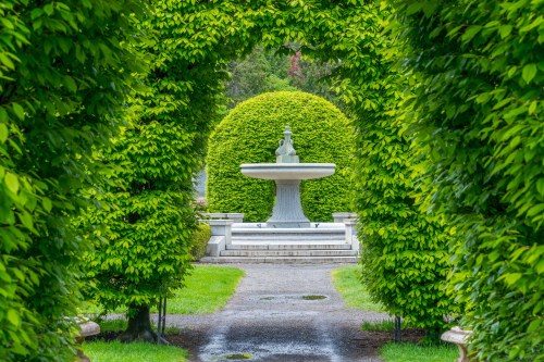 A serene garden path framed by lush green hedges, leading to a fountain surrounded by manicured greenery.